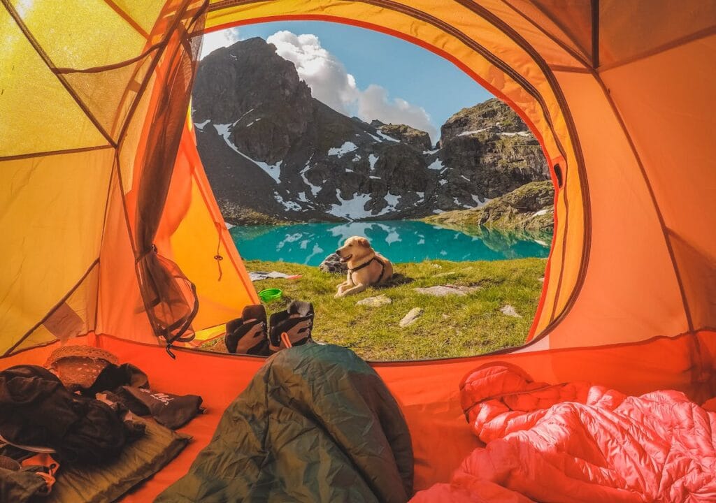 camping products for dogs